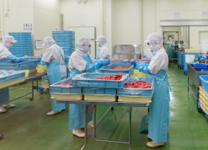 飲食料品製造業飲食料品製造業全般（飲食料品（酒類を除く）の製造・加工、安全衛生）