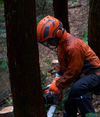 林業林業（育林、素材生産等）