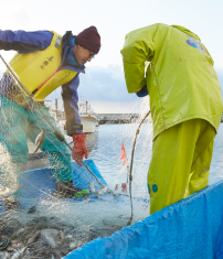 漁業漁業（漁具の製作・補修、水産動植物の探索、漁具・漁労機械の操作、水産動植物の採捕、漁獲物の処理・保蔵、安全衛生の確保等）、養殖業（養殖資材の製作・補修・管理、養殖水産動植物の育成管理・収獲（穫）・処理、安全衛生の確保等）