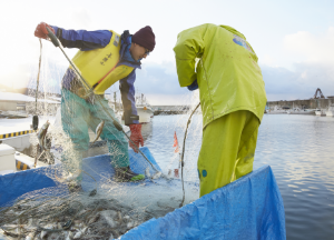 漁業漁業（漁具の製作・補修、水産動植物の探索、漁具・漁労機械の操作、水産動植物の採捕、漁獲物の処理・保蔵、安全衛生の確保等）、養殖業（養殖資材の製作・補修・管理、養殖水産動植物の育成管理・収獲（穫）・処理、安全衛生の確保等）